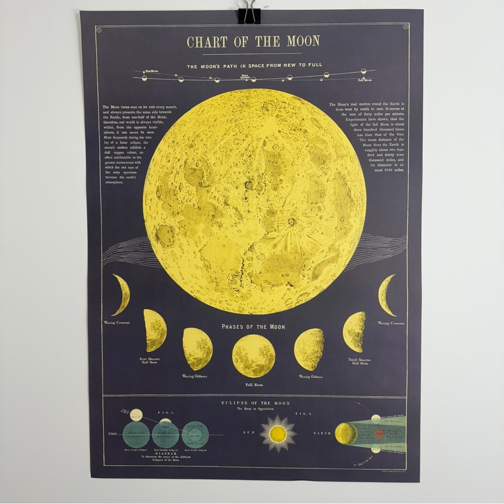 Cavallini Chart of the Moon 20” x 28” Poster